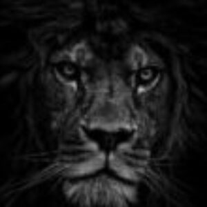  Foto de perfil de Kauã Rodrigues 