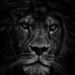  Foto de perfil de Kauã Rodrigues 