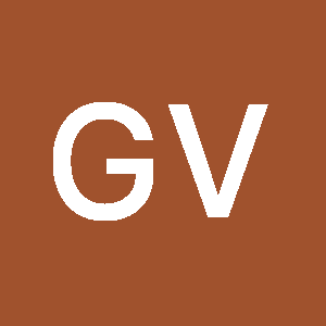  Foto de perfil de Gabriel Vizoto 