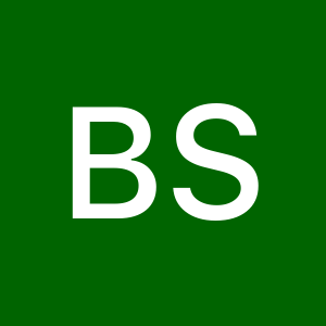 Foto de perfil de Bruno Silva 